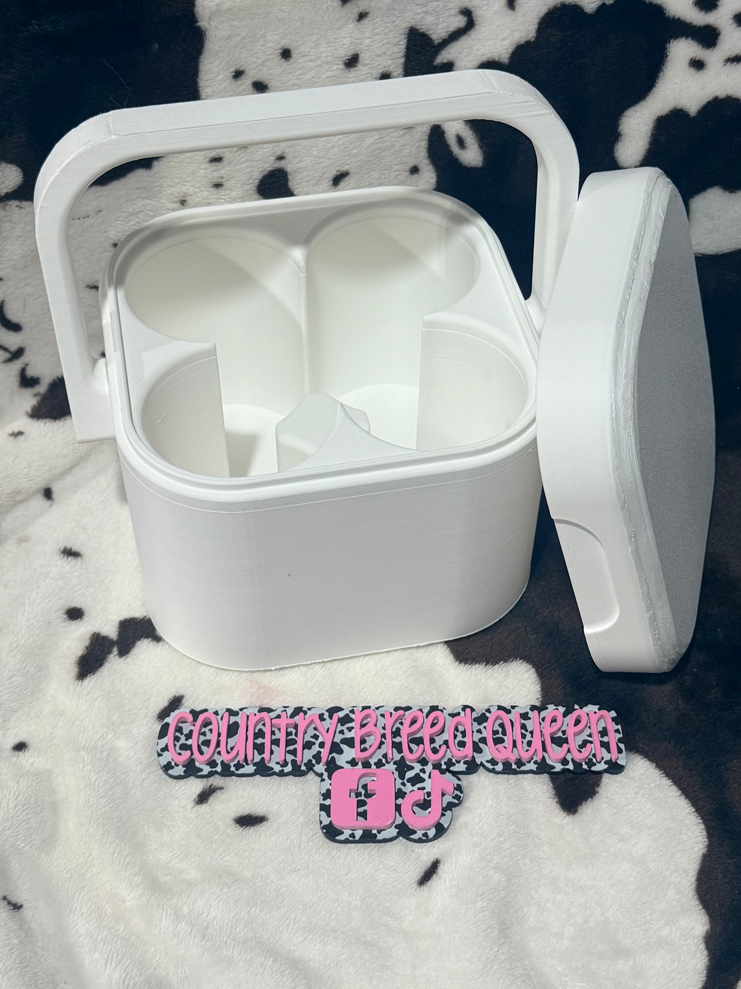 Mini 4 pk can cooler