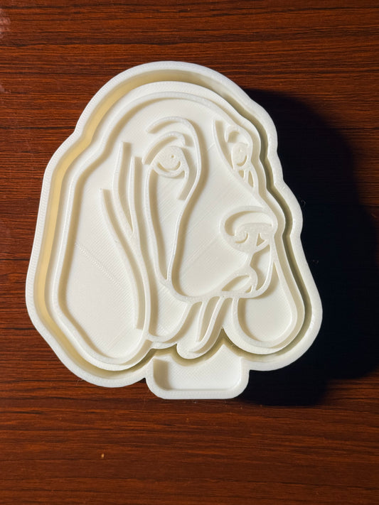 Basset Hound