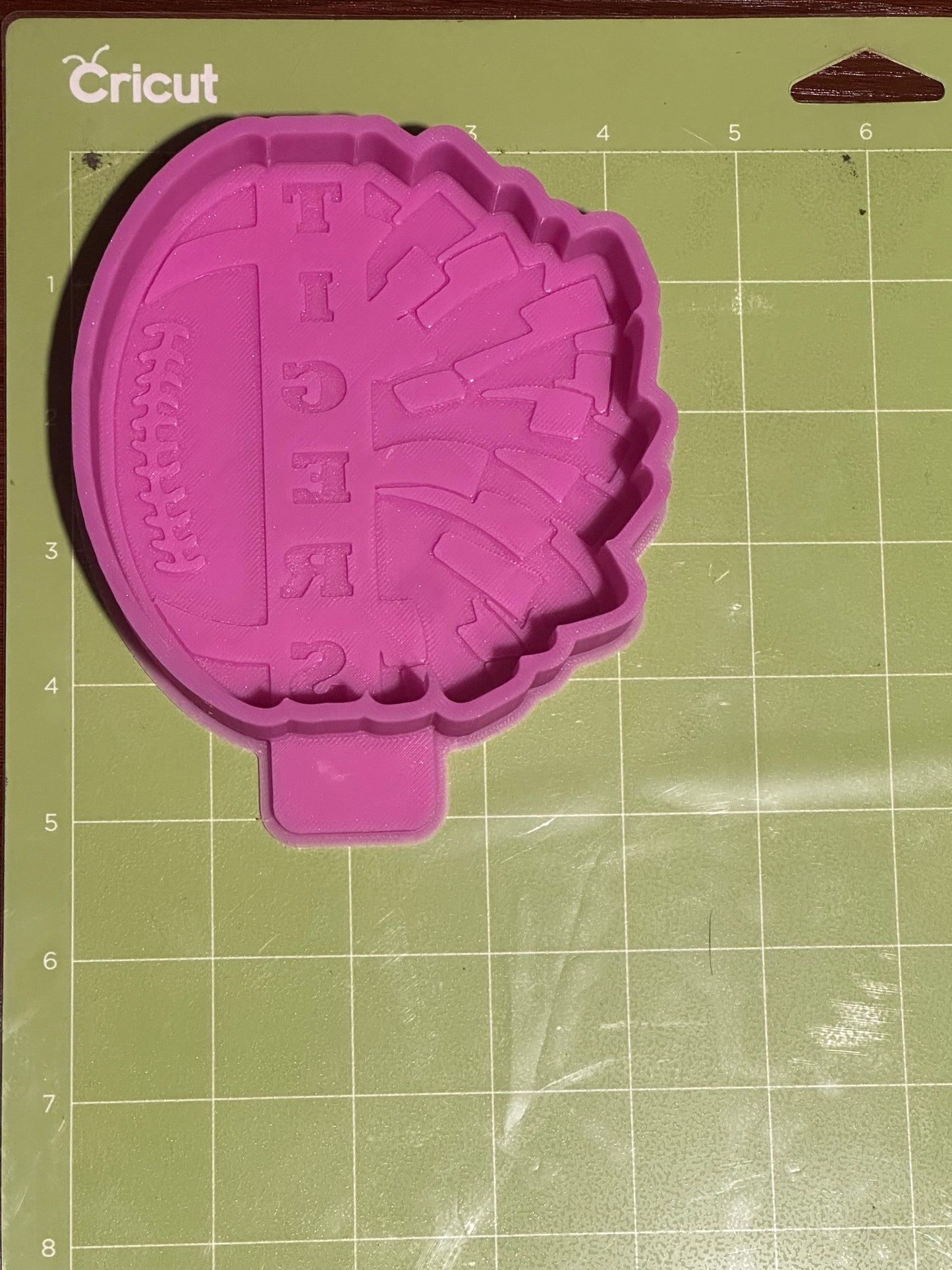 Tigers Cheer & Football