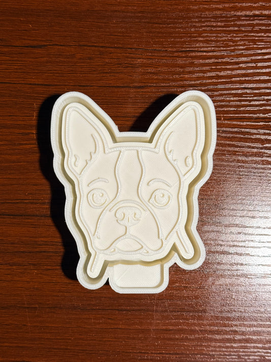 Boston Terrier