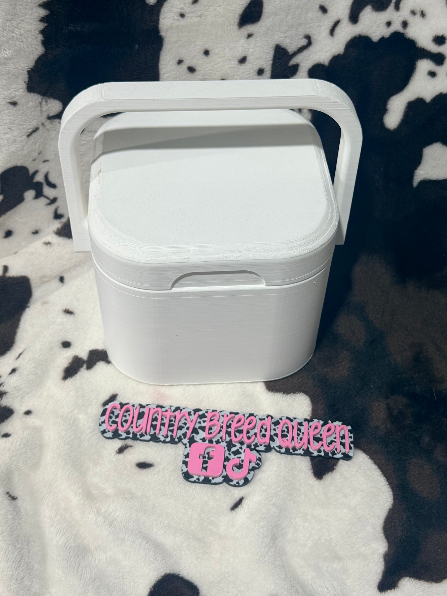 Mini 4 pk can cooler