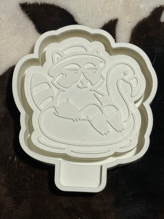 Raccoon on a float