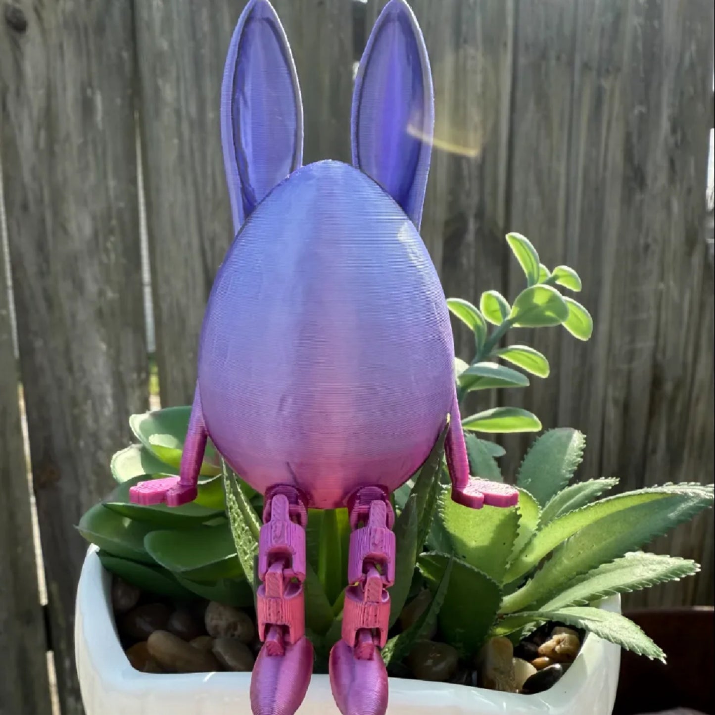 Sitting Egg
